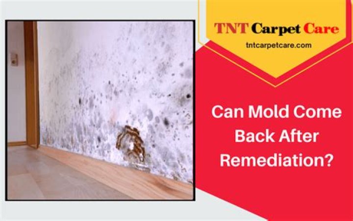 Can mold come back after remediation?
