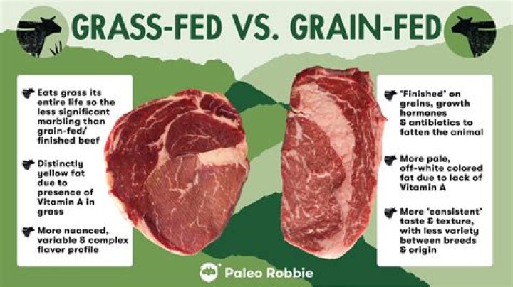 Is beef fat OK for birds?