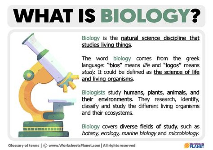 What is the definition of redundancy in biology?